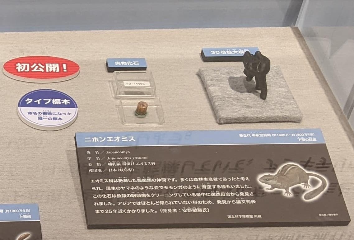 二ホンエオミス / イベント: 化石ハンター展 ～ゴビ砂漠の恐竜とヒマラヤの超大型獣～の写真